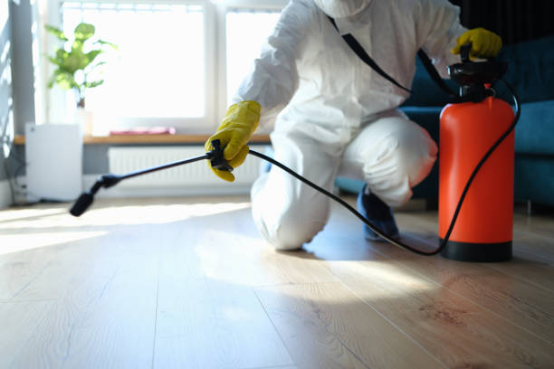 Reliable Blood Cleanup contractor in Jean, NV by Trauma Clean Pros